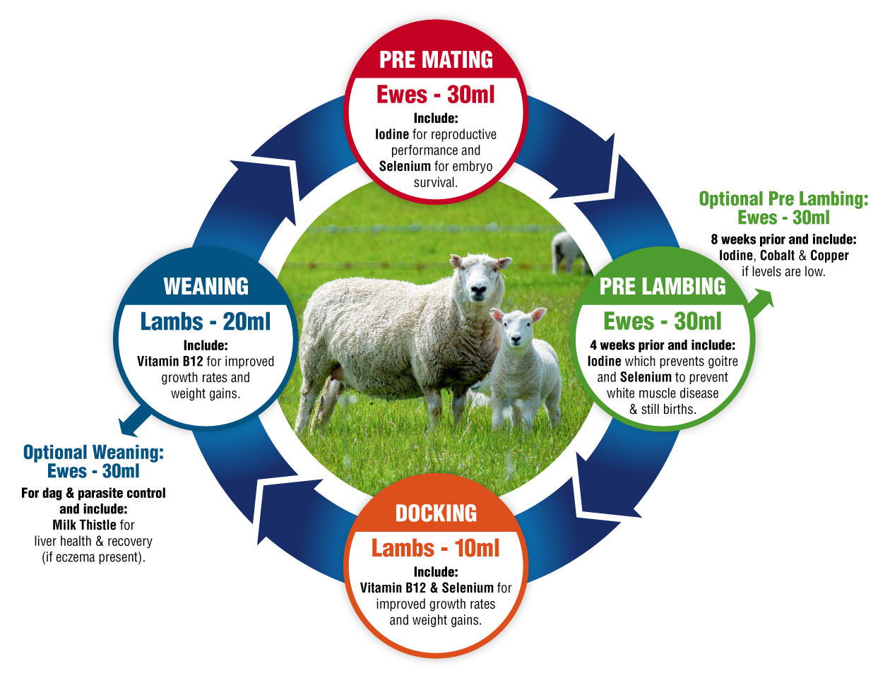 palaMOUNTAINS Sheep Feeding Programme